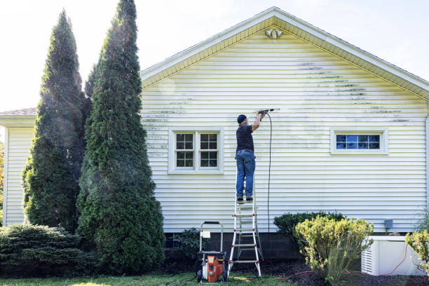 Best Driveway Pressure Washing  in Princeton, MN