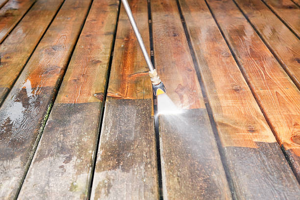 Best Fence Cleaning  in Princeton, MN